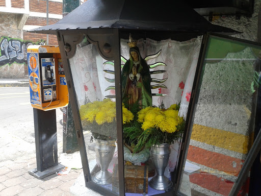 Virgen De Los Micros