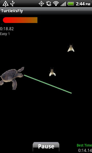 Turtle Vs Fly Lite