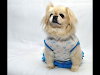 Vendo Ropa De Perros Vestidos Parkasbandanas
