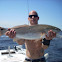 Red Drum