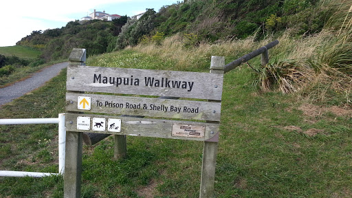 Maupuia Walkway
