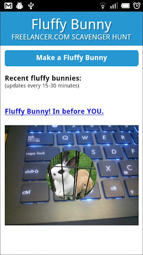 Fluffy Bunny