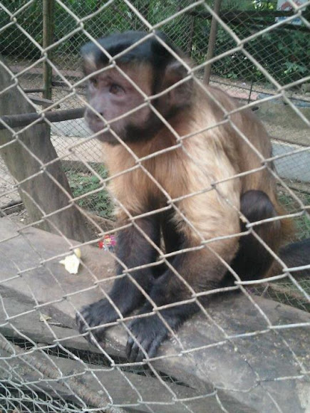 Spotting Image 1