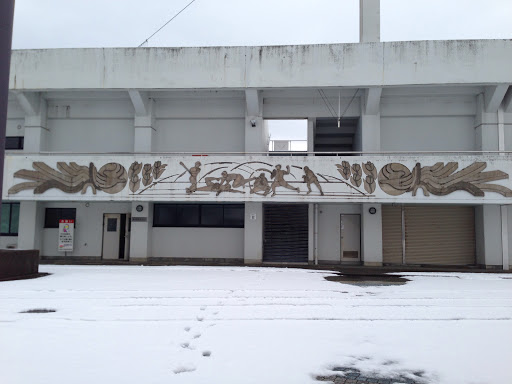砺波チューリップスタジアムの壁画