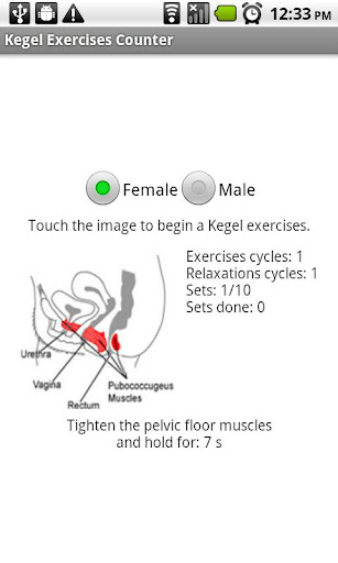Kegel Exercises Counter
