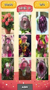 How to install Ranunculus Jigsaw Puzzles 1.0 mod apk for laptop