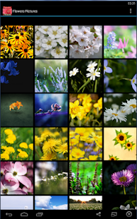 How to mod Flowers Pictures patch 1.0 apk for android