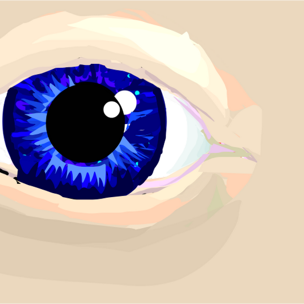 Eye #2 » drawings » SketchPort