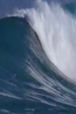 【免費個人化App】Surf Pacific Waves-APP點子