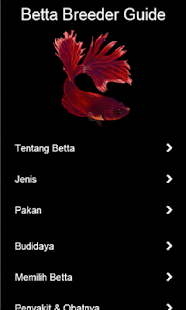 How to mod Betta Breeder Guide patch 1.0 apk for laptop