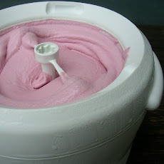 Raspberry Frozen Yogurt