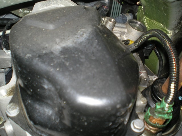 [Proton Damage - After Harrison 049[2].jpg]