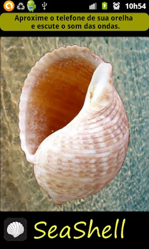 SeaShell