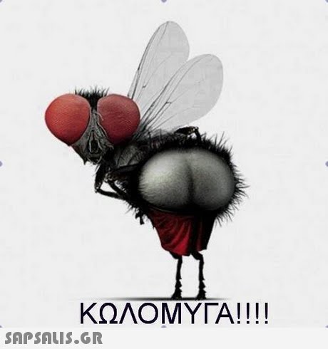 ΚΩΛΟΜΥΓΑ!! !! 