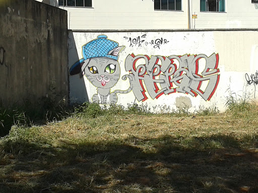 Grafite Gatinho