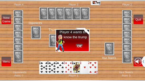29 Card Games Online