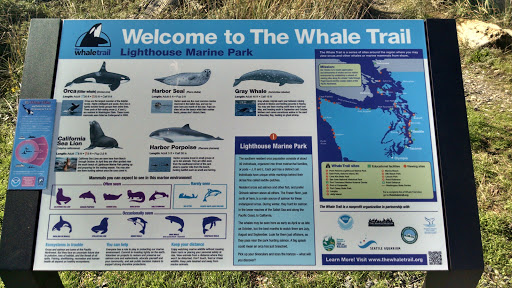 Welcome to the Whale Trail - Lighthouse Marine Park