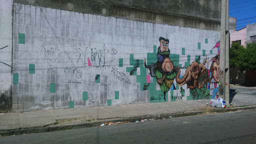 Grafite Do Elefante 
