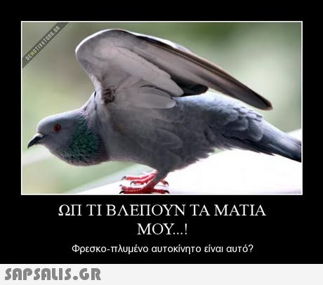 ΩΠ ΤΙ ΒΛΕΠΟΥΝ ΤΑ ΜΑΤΙΑ ΜΟΥ ! φρεσκο-πλυμένο αυτοκίνητο είναι αυτό? 