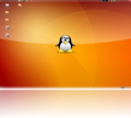 ubuntu_desktop_empty_1024