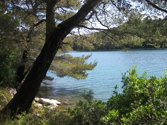 [MLJET 289[3].jpg]