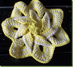 crochet flower  hotpad