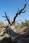 Monument Valley, Jimmy på fløjte 015.jpg