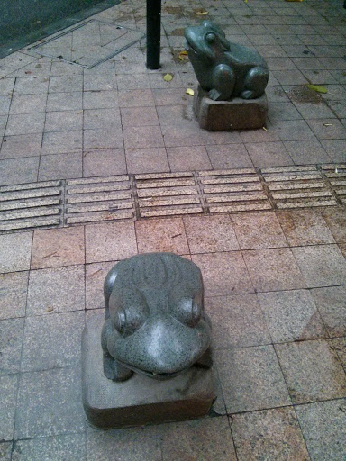 Two Frogs｜两只青蛙