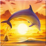 Dolphin Wallpaper 3D FREE Apk