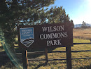 Wilson Commons Park
