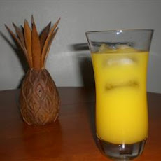 Best Screwdriver