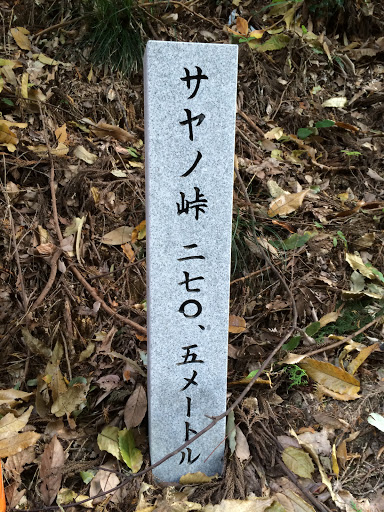 サヤノ峠