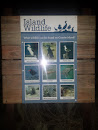 Island Wildlife Info Board