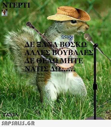 NTEPTI ΔΕ LAA ΒΟΣΚΩ 12 