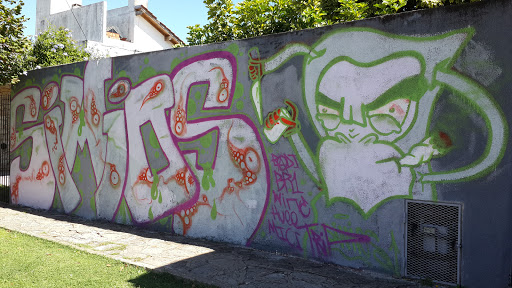 Graffiti Simios