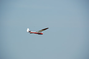 DSC_4696.JPG