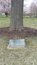 Liberty Tree Bicentennial