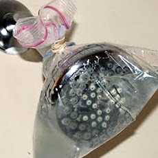 Shower Head Cleaner