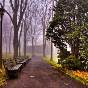 by Luc Belisle - City,  Street & Park  Vistas ( park, bench )