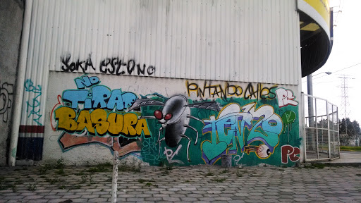 La Mosca Grafitti