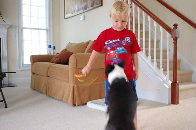 [DSC_0086[2].jpg]