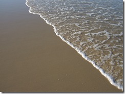 2008_0505austraaaayngg0131