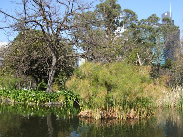 [2008_0805melbourne0123[2].jpg]