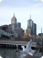 2008_0806melbourne20067