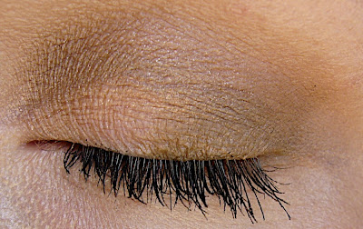 Clinique matte eyeshadows for fall 2008