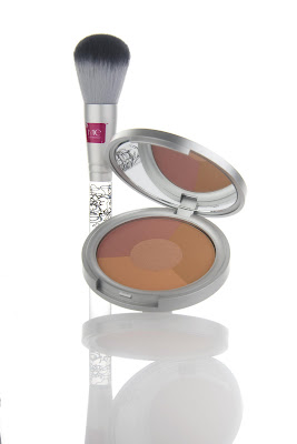cheeky me blush and brush combination