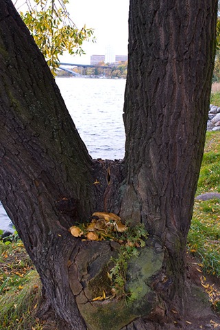 [_D2C67532008-10-18_14-36-12[2].jpg]