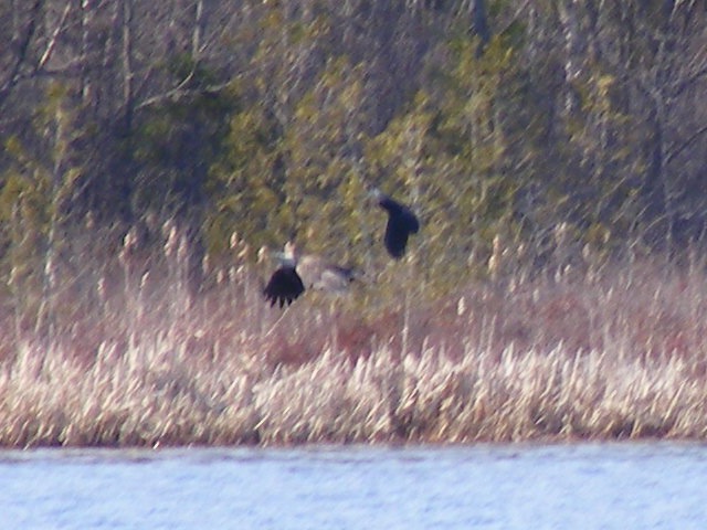 [DSCF07244.jpg]
