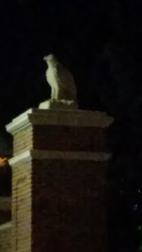 Cambridge Auburn Eagle Statue 1