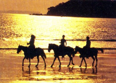 [horseback-beach-sunset[4].jpg]
